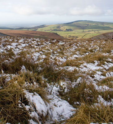 View from the Cat and Fiddle, Macclesfield