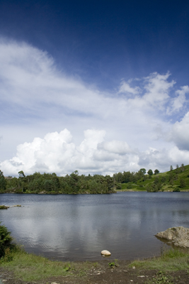 Tarn Hows, Lake District