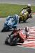 Tommy Hill, Cal Crutchlow and Leon Camier.